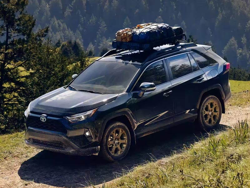 New 2025 Toyota RAV4 Trim Levels and Models