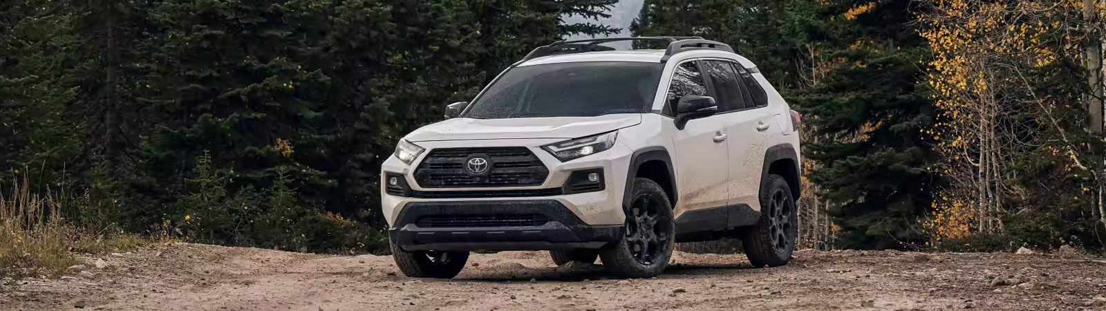 New 2025 Toyota RAV4 for Sale in Calgary Alberta